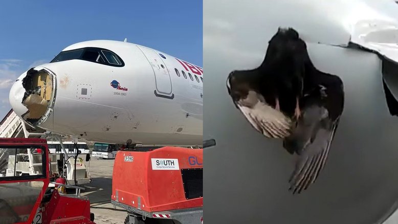 Impacto com ave de grande porte causou danos em bico de avião - Foto: reprodução/redes sociais