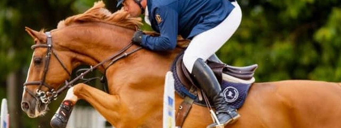 Hipismo