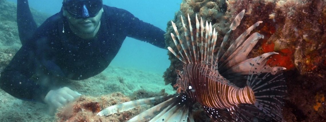 'Tropicalização': aumento da temperatura no Mediterrâneo preocupa especialistas