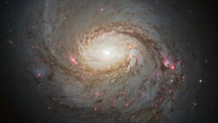 Nasa
