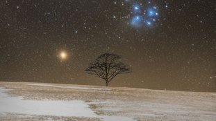 O ponto luminoso, à esquerda da árvore, é Marte, o planeta vermelho e lar do rover Perseverance, da NASA. À direita da árvore estão as Plêiades (M45), um brilhante aglomerado estelar dominado por várias estrelas azuis brilhantes. A imagem foi registrada em março de 2021, em Vinegar Hill, em Milford, Nova Escócia, Canadá. Naquele período, Marte passava lentamente, noite após noite, quase em frente ao distante aglomerado estelar, popularmente apelidado de “Sete Irmãs”. A próxima vez que Marte passará angularmente tão perto das Plêiades será em 2038
