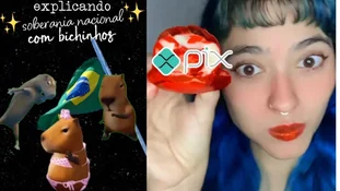 Governo usa capivara e morango do amor para criticar Trump