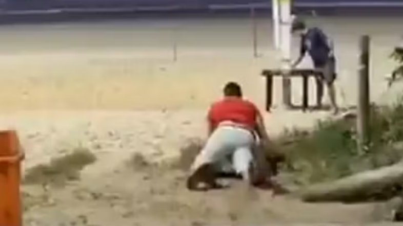 Turista britânicos