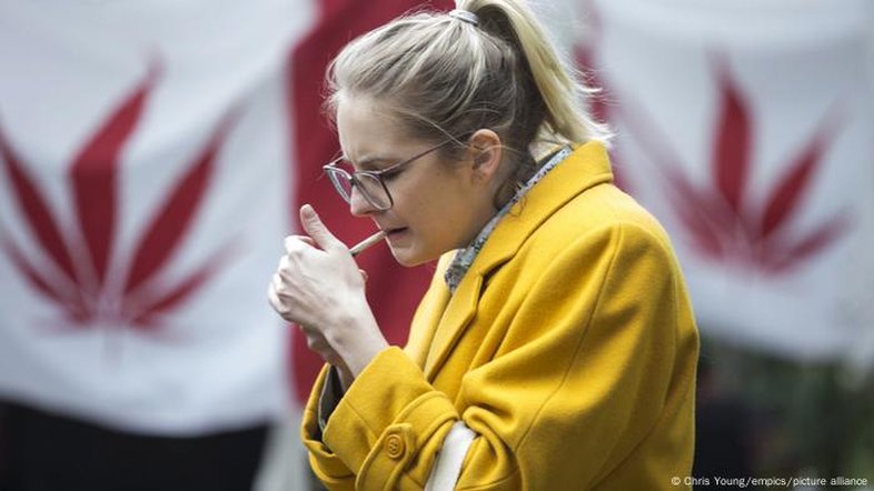 Maconha pode comprometer fertilidade da mulher, diz estudo