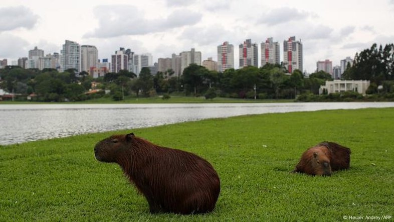 Os modelos "cidades-esponja" que já existem no Brasil