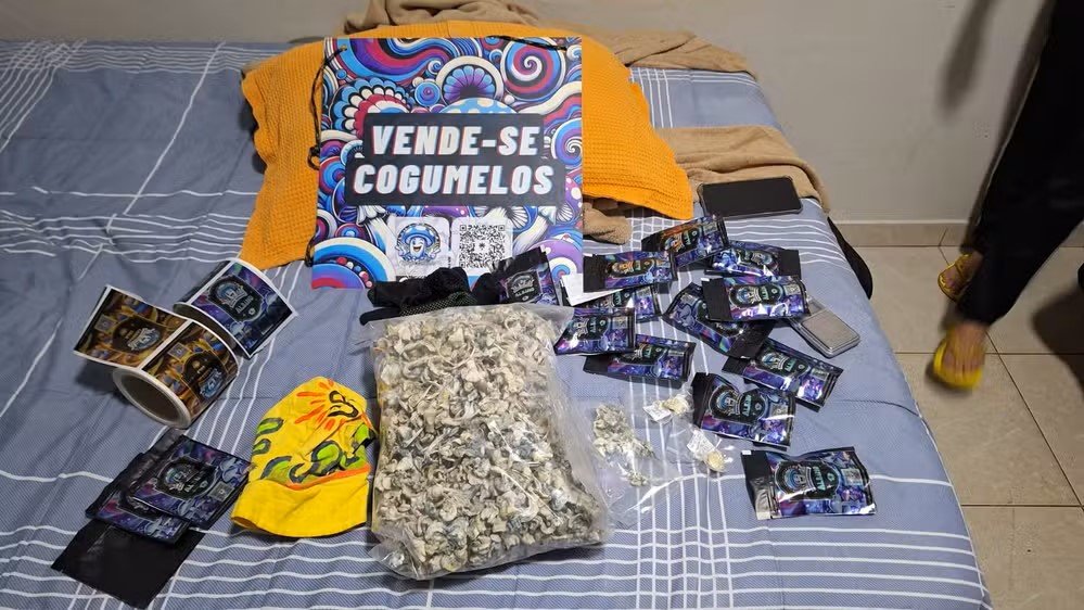 Polícia Civil desarticula maior esquema de venda de ‘cogumelos mágicos’ do país