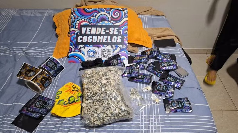divulgação/polícia civil