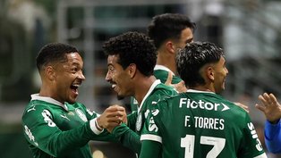 Cesar Greco/Palmeiras