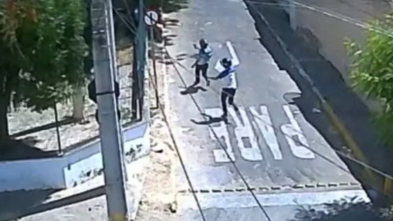 Reprodução