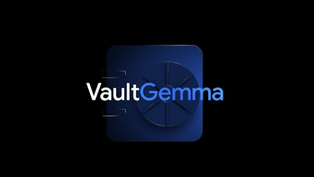 Pesquisadores do Google apostam em privacidade com VaultGemma