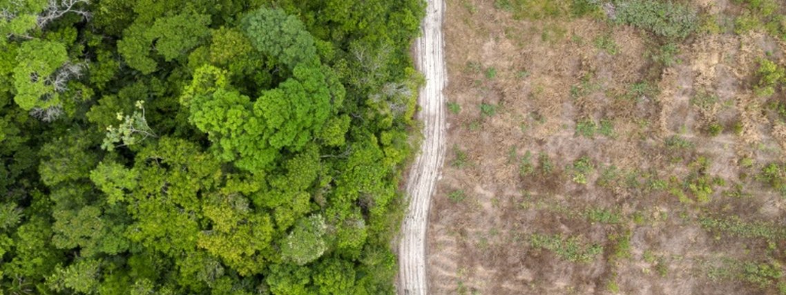 Amazônia Legal registra menor área desmatada desde 2014