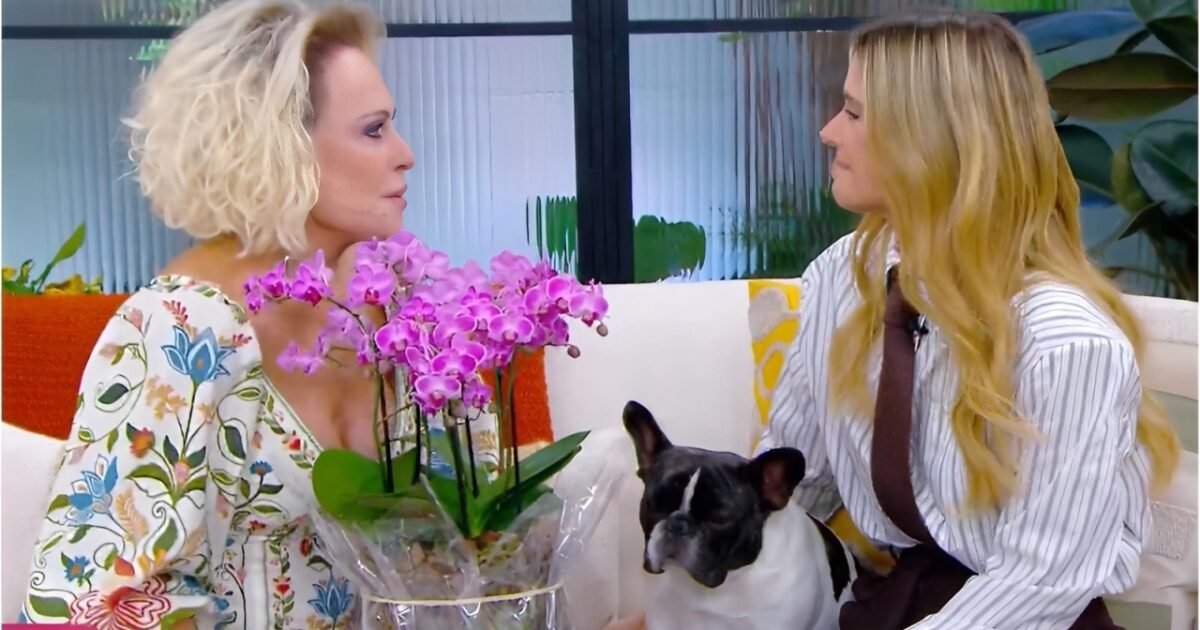 Ana Maria Braga e Carolina Dieckmmann vão às lágrimas ao falarem sobre câncer