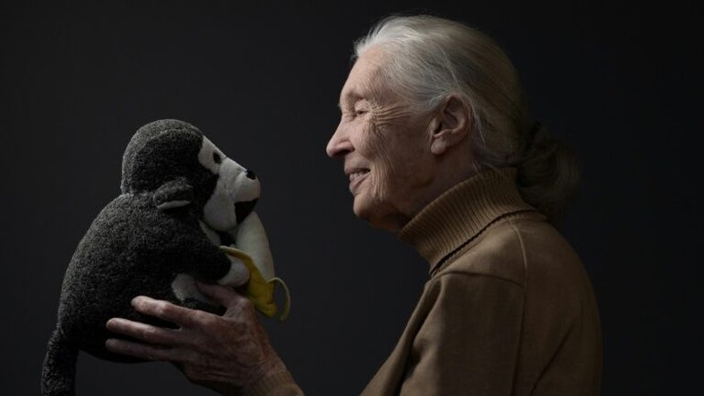 Primatologista Jane Goodall morre aos 91 anos