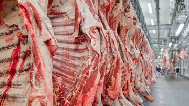 frigorifico-carne