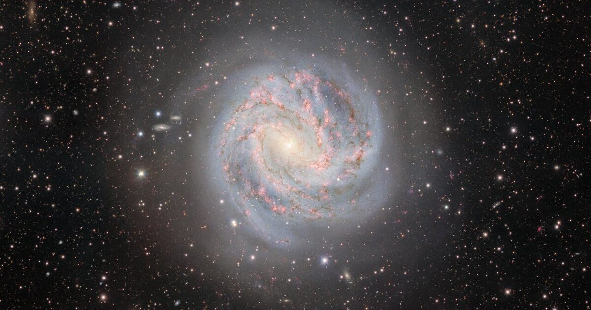 Horóscopo: saiba o que esperar para o seu signo nesta terça-feira, dia 14
