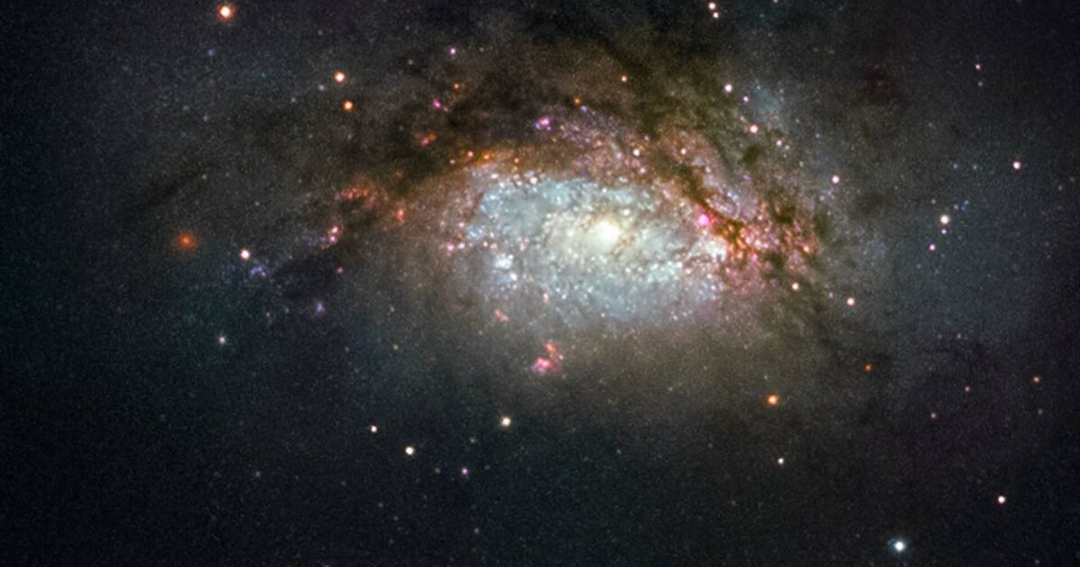 Horóscopo: saiba o que esperar para o seu signo nesta sexta-feira, dia 17
