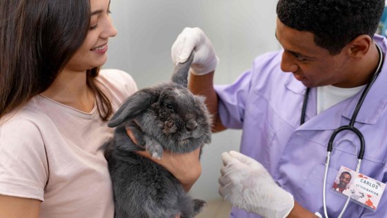 veterinario-examina-um-coelho-2-scaled
