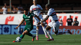 Cesar Greco/Palmeiras