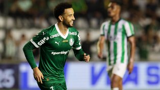 Cesar Greco/Palmeiras