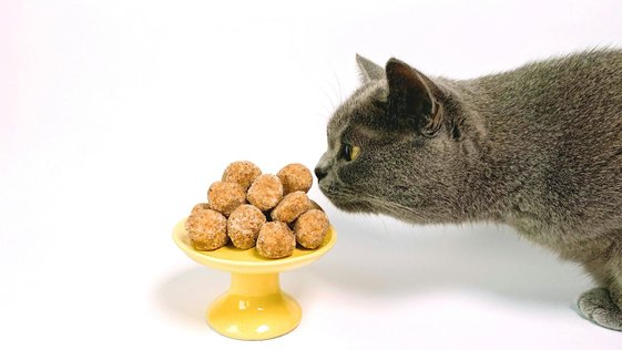 unsplash-anastasiia-rozumna