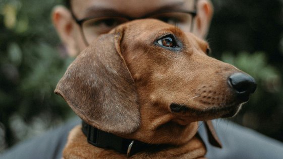 unsplash-ralph-labay