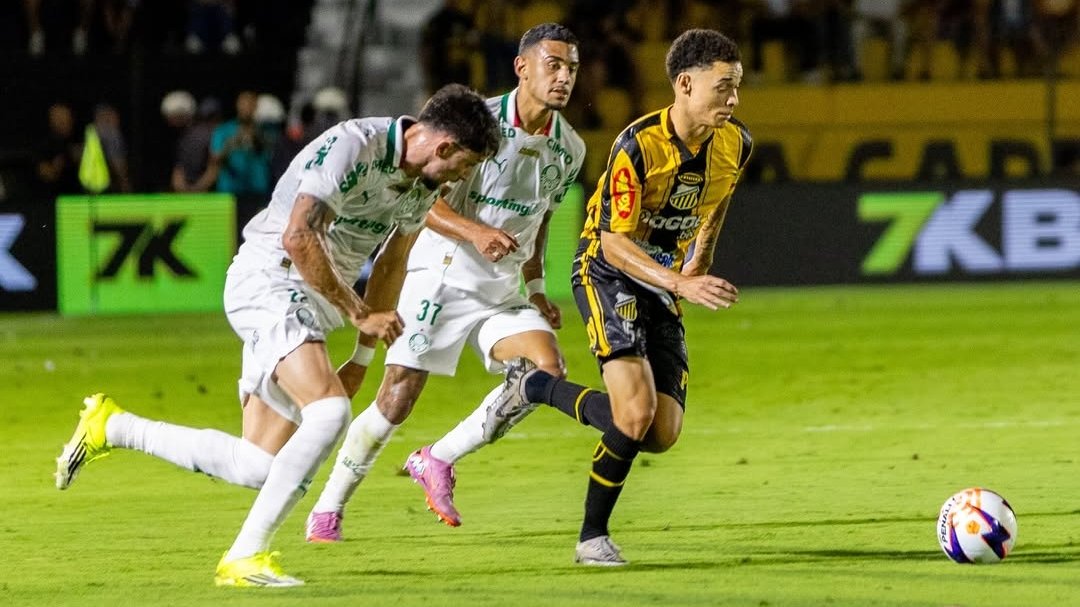 Palmeiras leva baile do Novorizontino , dá vexame e tem o pior resultado da era Abel