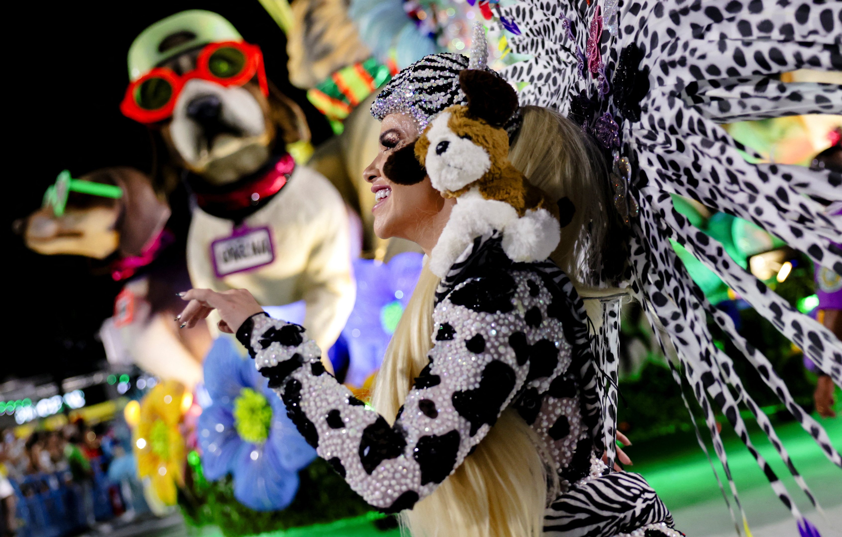 Mocidade homenageia cão Orelha em desfile