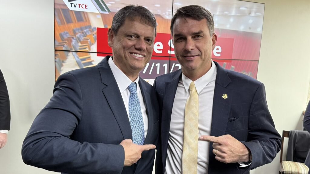Tarcísio de Freitas e Flávio Bolsonaro