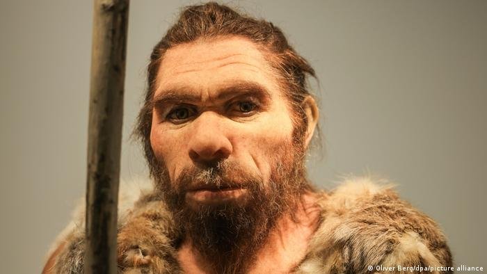Estudo revela preferência sexual entre neandertais e sapiens
