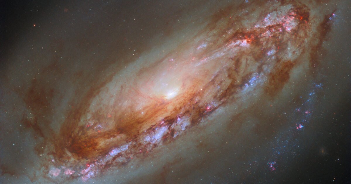 Horóscopo: saiba o que esperar para o seu signo nesta terça-feira, dia 31