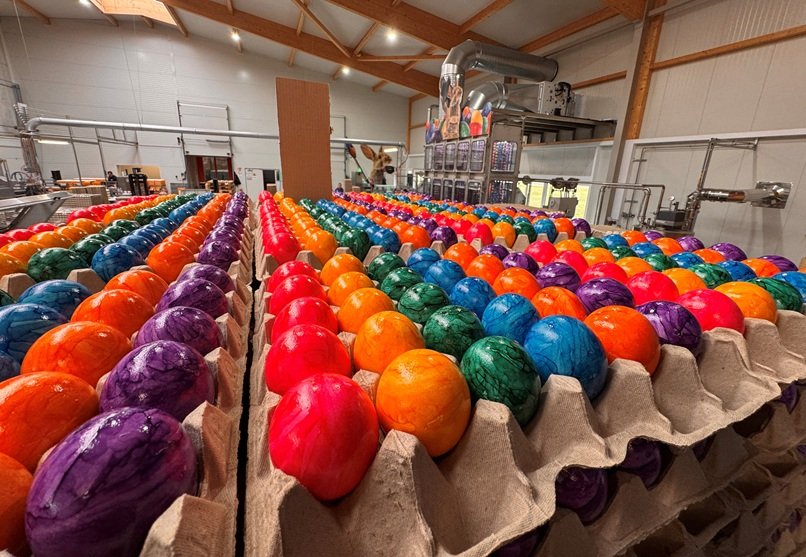 Ovos de Páscoa coloridos na empresa alemã de tingimento de ovos Beham, um negócio familiar desde 1953, em Ursberg, Alemanha, 18 de março de 2026.