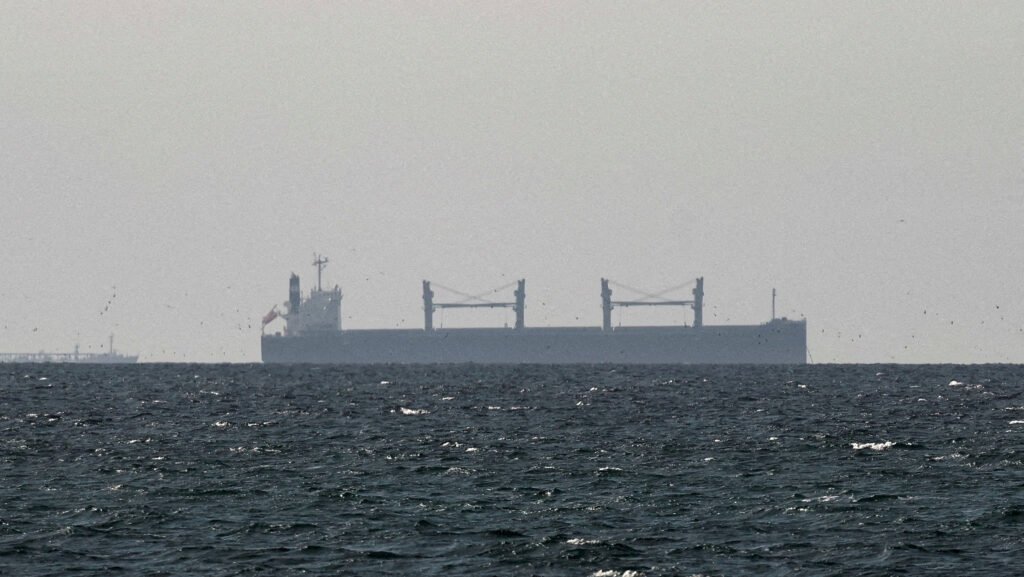 Navio de carga atravessa o Estreito de Ormuz, no Irã