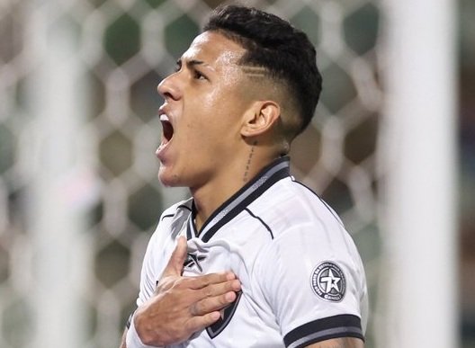 Botafogo faz três gols em menos de 20 minutos e goleia a Chapecoense