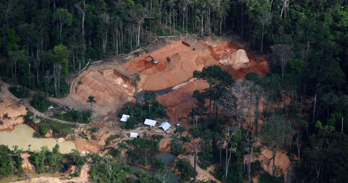 Greenpeace: garimpo ilegal extrai bilhões em ouro da Amazônia com ‘licença fantasma’