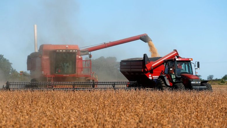 Previsão para safra de soja argentina cai a 43 mi t por efeito de seca, diz bolsa