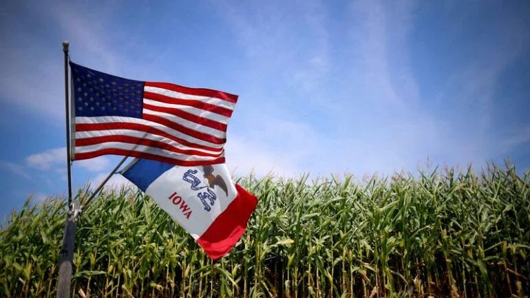 Plantio de milho dos EUA atinge 4% e condição do trigo se mantém estável, diz USDA
