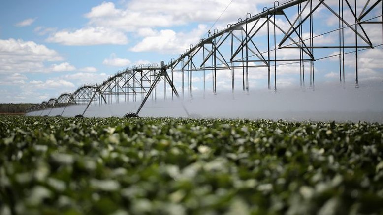 Soja certificada RTRS soma 4,6 mi t no mundo em 2020 e pode crescer até 20% em 2021