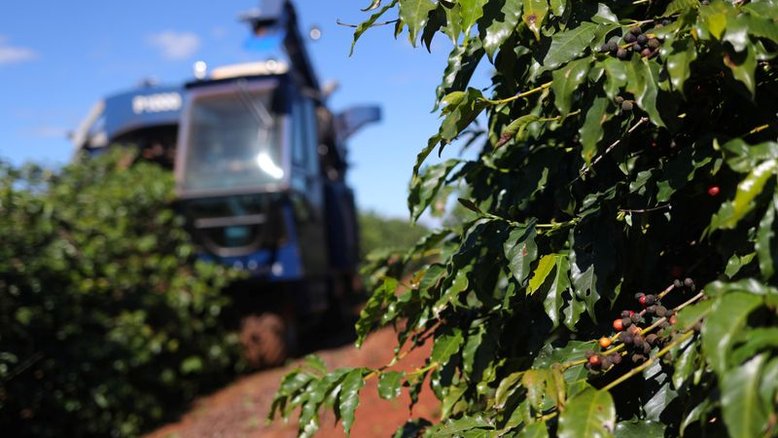 Brasil vendeu 90% da safra velha de café antes da nova colheita, diz consultoria