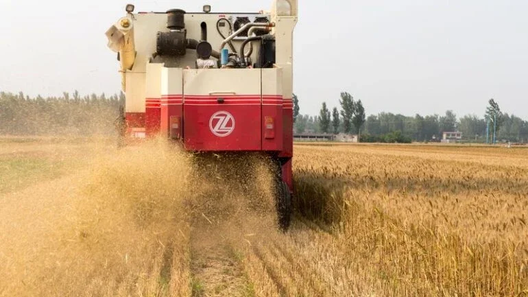 China vende 410,7 mil t de trigo em leilão de reservas estatais