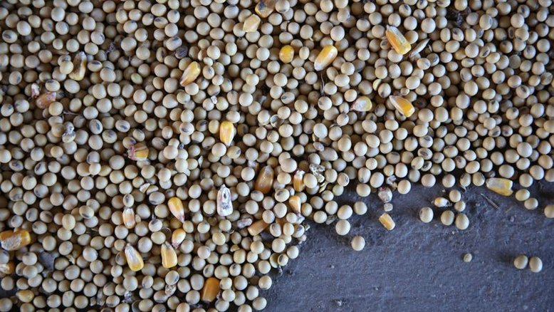 Milho tem máxima desde 2013, soja bate US$15 e trigo supera US$7 em Chicago