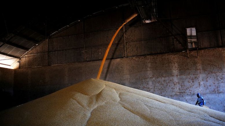Imea reduz estimativa para safra de milho de Mato Grosso a 34,6 mi t; eleva soja