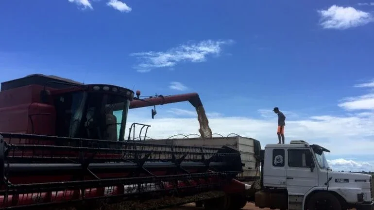 Bunge mais que triplica lucro no primeiro trimestre; melhora previsão para o ano