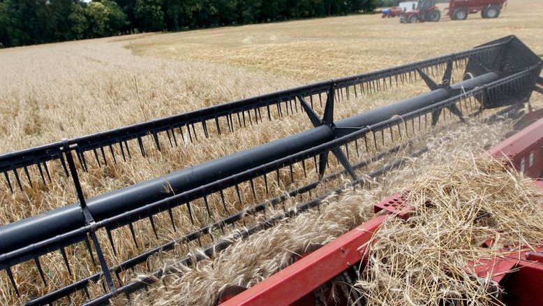 Colheita de trigo 21/22 na Argentina estimada em recorde de 19 mi t, diz bolsa