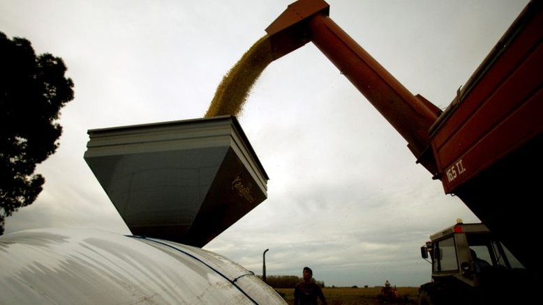 Produtores argentinos vendem 16,4 mi t de soja; ritmo é mais lento que no ano passado