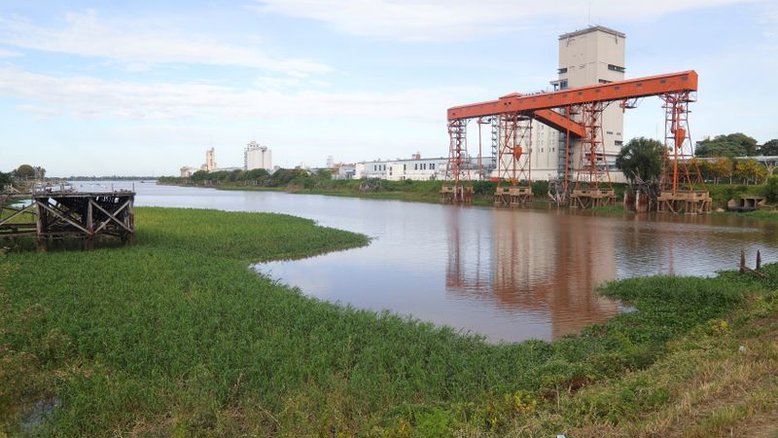 Seca acelera colheita de soja da Argentina, mas baixo nível do rio Paraná preocupa