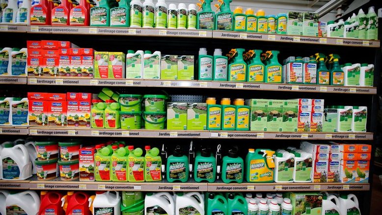 Suprema corte da UE mantém proibição de pesticidas ligados a danos a abelhas
