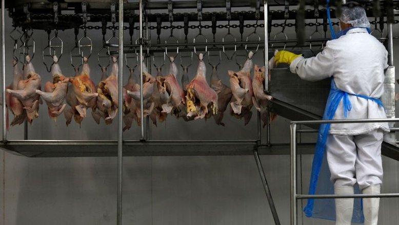 Arábia Saudita suspende exportação de carne de aves de 11 unidades do Brasil