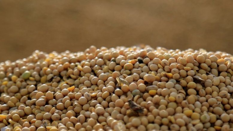 Soja supera US$16/bushel em Chicago pela 1ª vez desde 2012