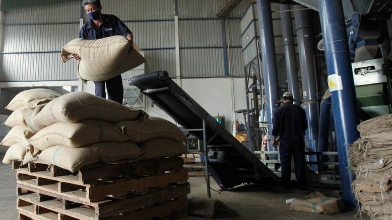 Exportação de café do Vietnã recua 22% em abril; embarque de arroz avança 45%