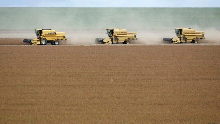Vendas de soja atingem 34,6% da safra 21/22 em MT, diz Imea; preço menor desacelera negócios